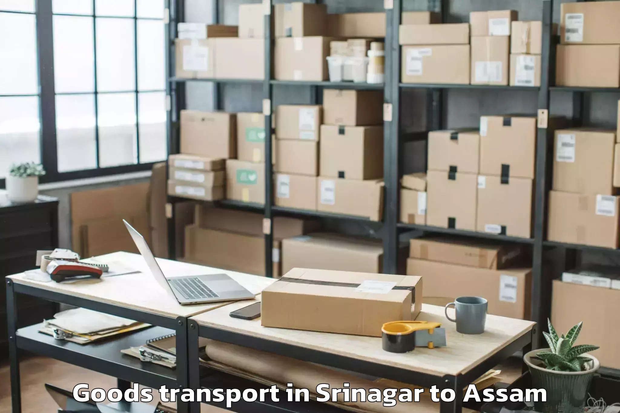 Efficient Srinagar to Sissibargaon Goods Transport